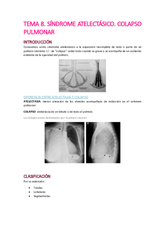 Tema-8.pdf