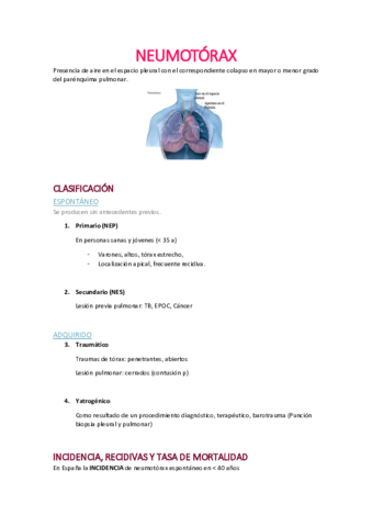 Tema-13.pdf