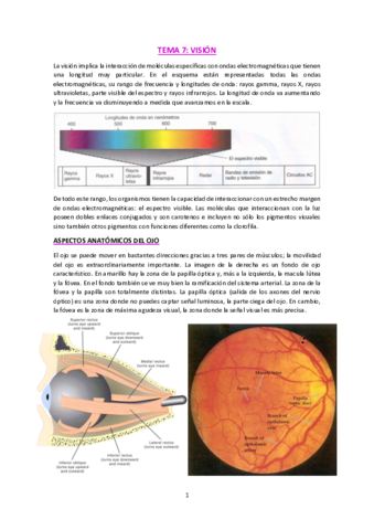 T7-Vision.pdf