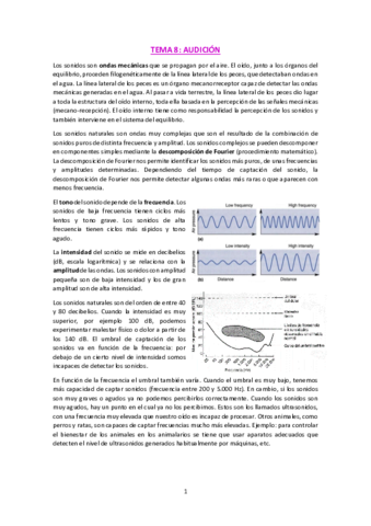 T8-Audicion.pdf