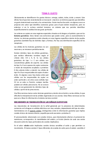 T9-Gusto.pdf