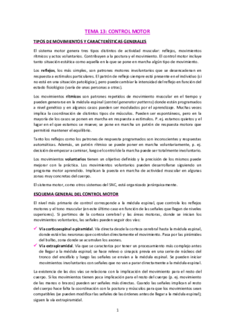 T13-Control-motor.pdf