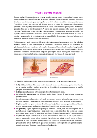 T1-Sistema-endocri.pdf
