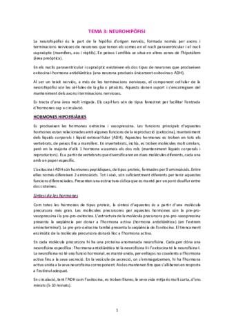 T3-Neurohipofisi.pdf