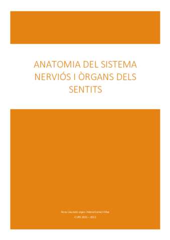 Apunts-finals-anato-SN.pdf
