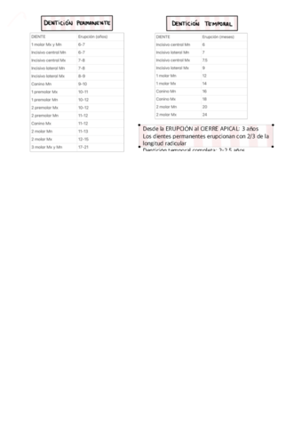 TABLA-ERUPCION-DIENTES.pdf