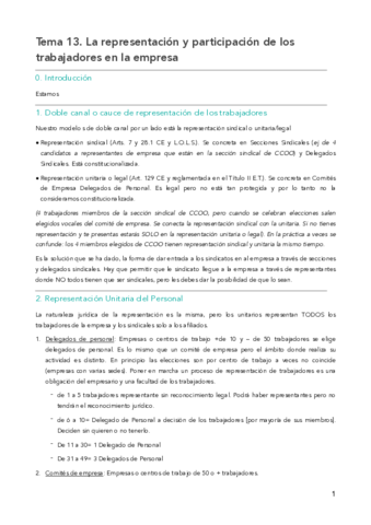 Tema-13.pdf