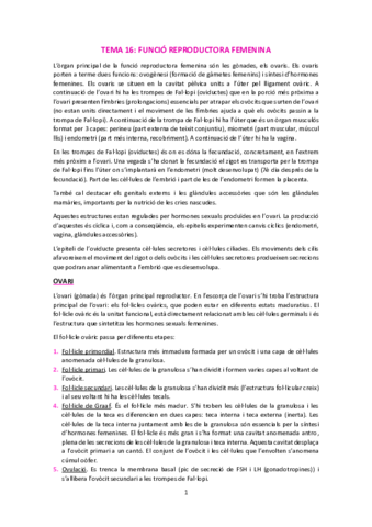 T16-Funcio-reproductora-femenina.pdf