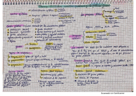 economia-tema-11-1.pdf