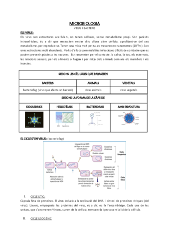 Microbiologia.pdf