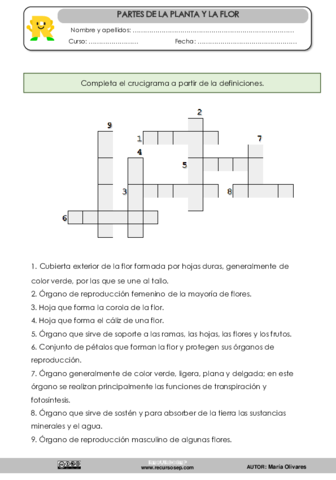 partes-de-la-planta-y-la-flor1.pdf