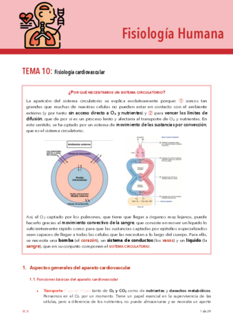 FISIO-TEMA-10.pdf