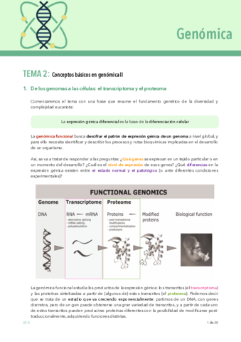 GENOMICA-tema-2.pdf