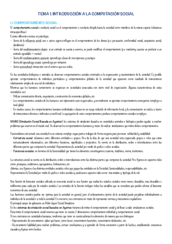 Apuntes-Computacion-Social.pdf
