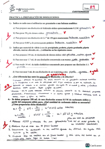 Cuestionarios-practicas.pdf