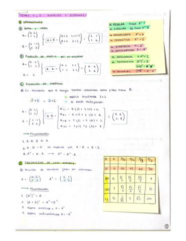 Temas-4-5-6-Matrices-sistemas-y-determinantes.pdf