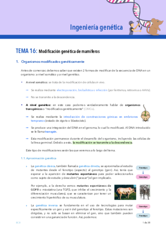 Ingenieria-genetica-TEMA-16.pdf