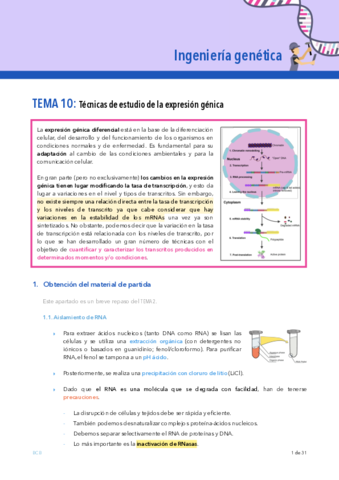 Ingenieria-genetica-TEMA-10.pdf