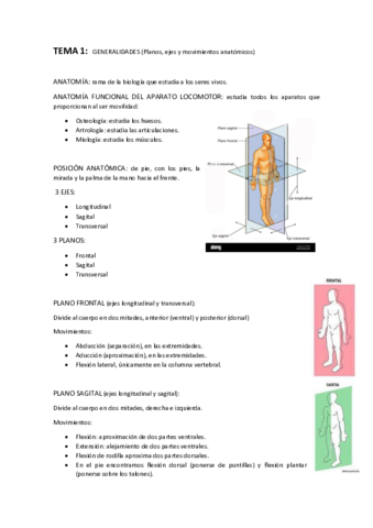 AnatomiaTema1.pdf