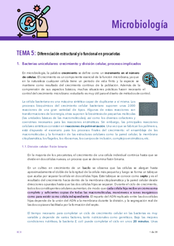 MICRO-TEMA-5.pdf