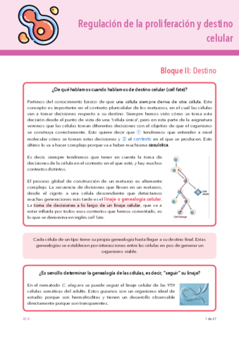 DESTINO-TEMA-8.pdf