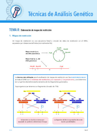TEMA-8-TAG.pdf