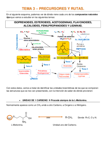 TEMA 3 - PRECURSORES Y RUTAS.doc.pdf