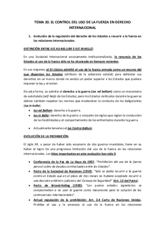 TEMA-20.pdf