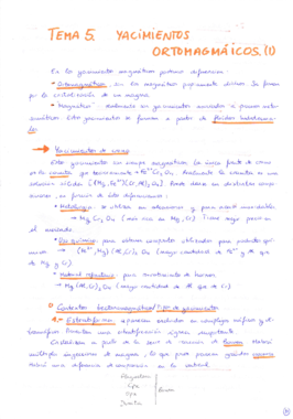 Tema 5 Yacimientos.pdf