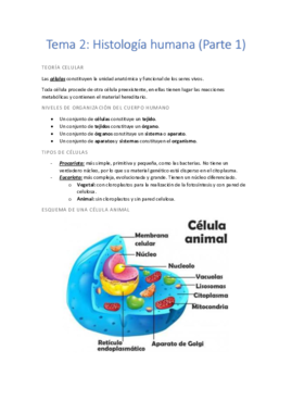 Tema 2 (Parte 1).pdf