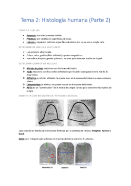 Tema 2 (Parte 2).pdf