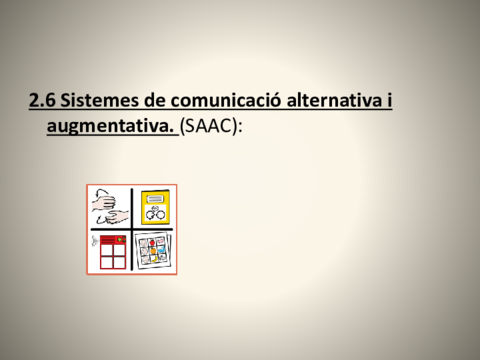 saac.pdf