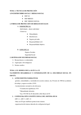esquema-de-todo-el-temario-derecho-seguridad-social-I.pdf