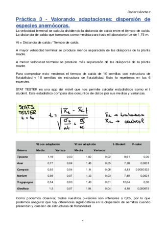 Practica-3-Avances.pdf