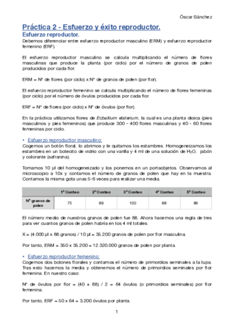 Practica-2-Avances.pdf