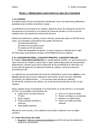 TEMA-3-PROBLEMAS-ASOCIADOS-AL-ROL-DE-CUIDADOR.pdf