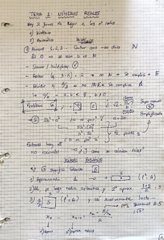 Temario-Problemas-y-Practicas.pdf