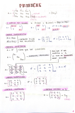 Matrices-y-determinantes-.pdf