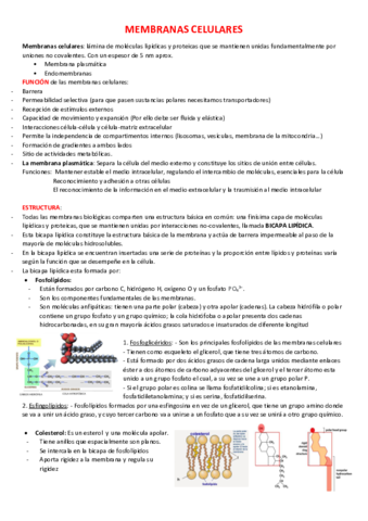 Membrnas-celulares-t.pdf