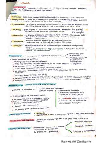 evolucion.pdf