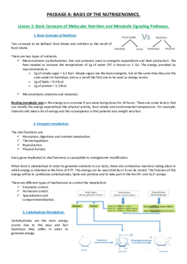 Lesson 2.pdf