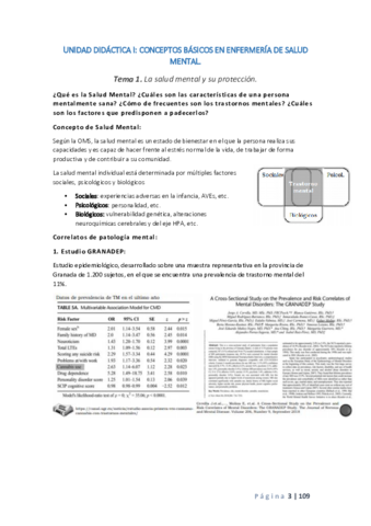 SALUD-MENTAL-COMPLETO.pdf
