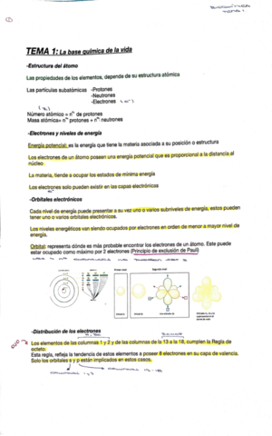 Tema-1-Bioquimica.pdf