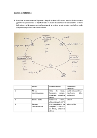Examen-Metabolismo.pdf