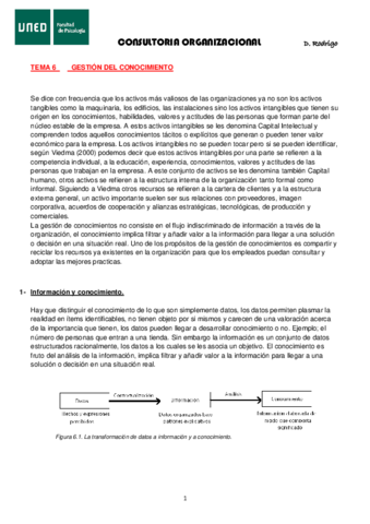 CONSULTORIA-tema-6.pdf
