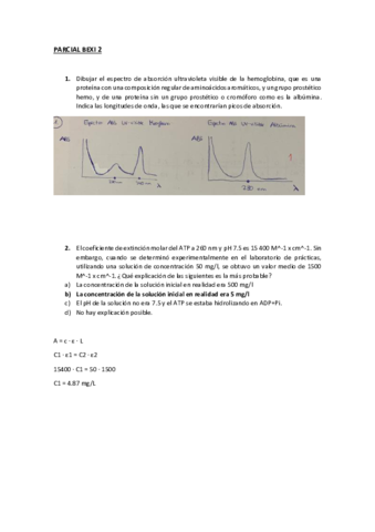 BEXI-PARCIAL-B.pdf