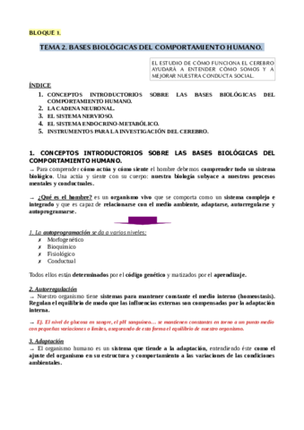 TEMA-2.pdf