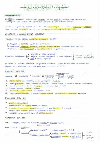 NEUROBIOLOGIA-Teoria.pdf