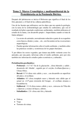 Protohistoria de la P.I..pdf