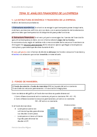 TEMA-12-ANALISIS-FINANCIERO-DE-LA-EMPRESA.pdf